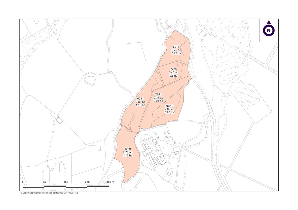 13.75  Land, Ashley Heath, Ringwood, BH24 - Sold STC, Image 5