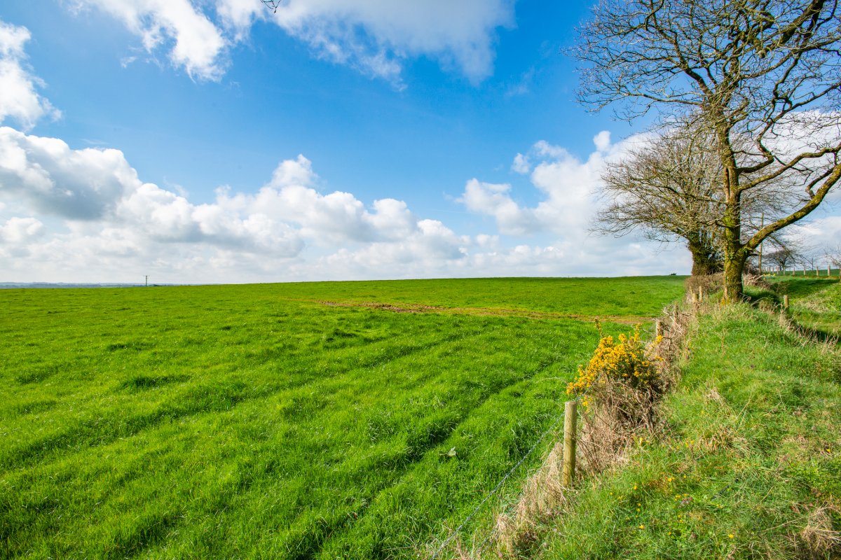 57.55  Development Land, Milton Damerel, Holsworthy, EX22 - Available, Image 12