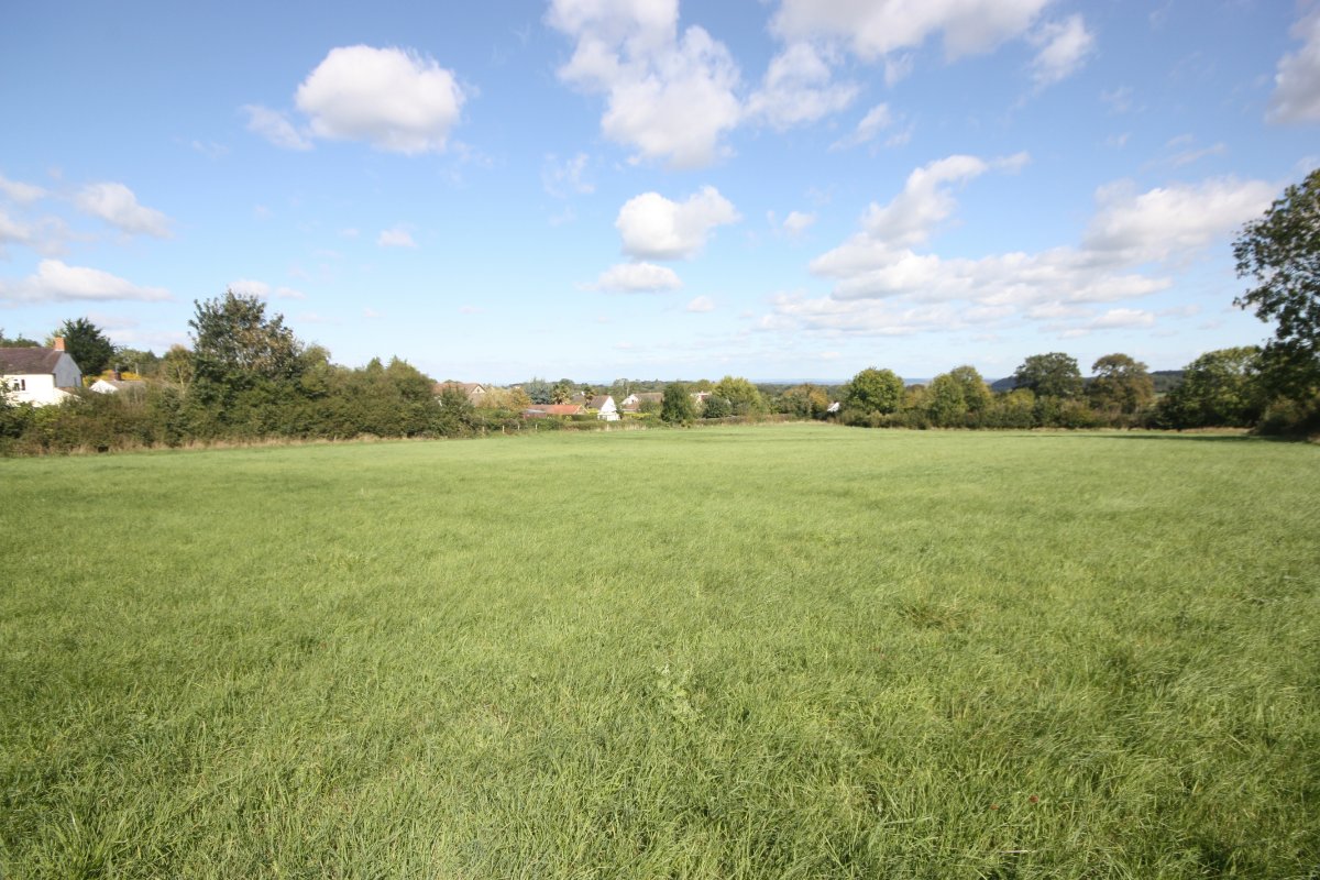 1.99  Land, Slough Green, Nr West Hatch, TA3 - Sold