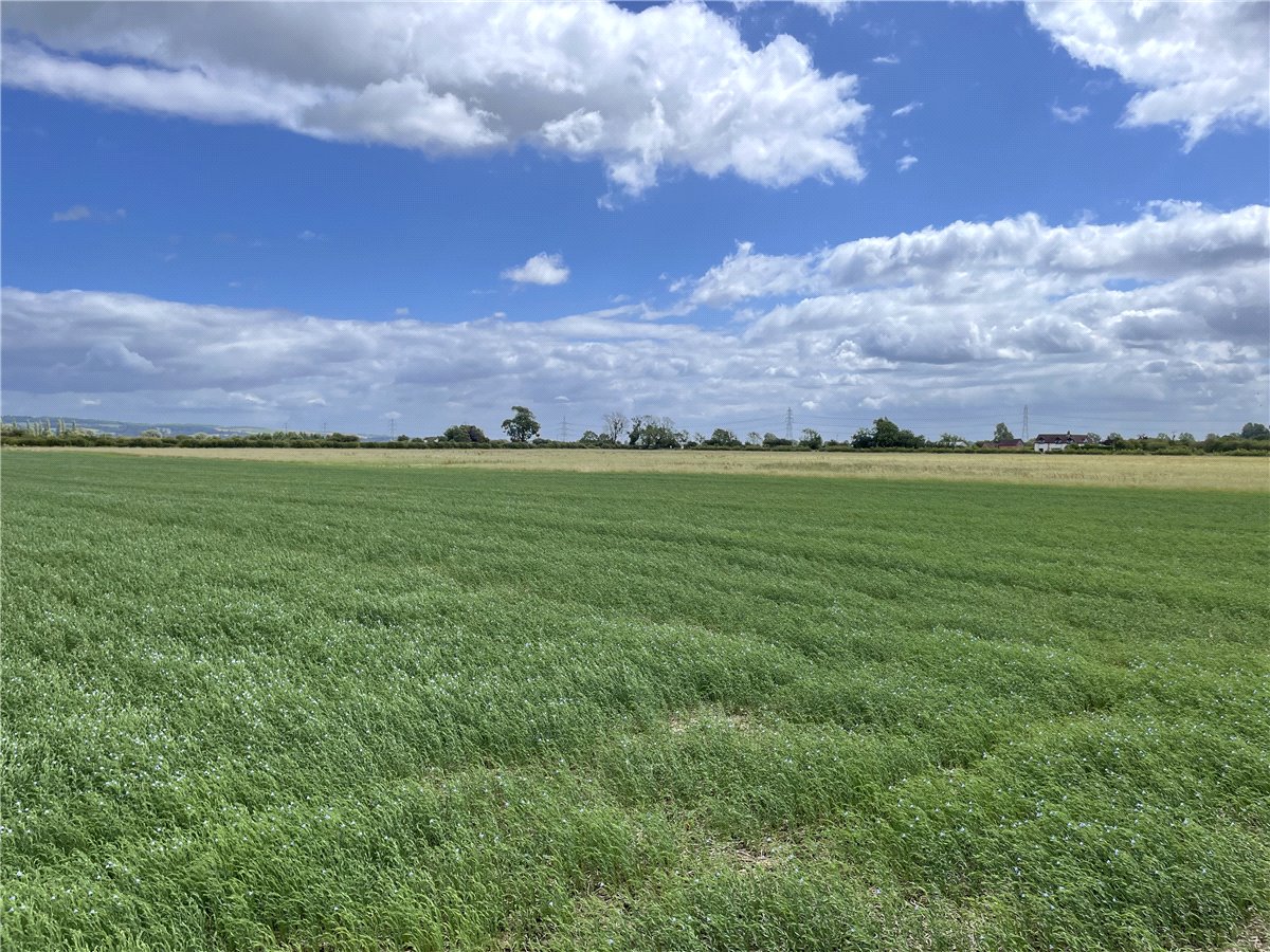   Land, Land Off Common Road, Broomfleet, HU15 - Available, Image 2