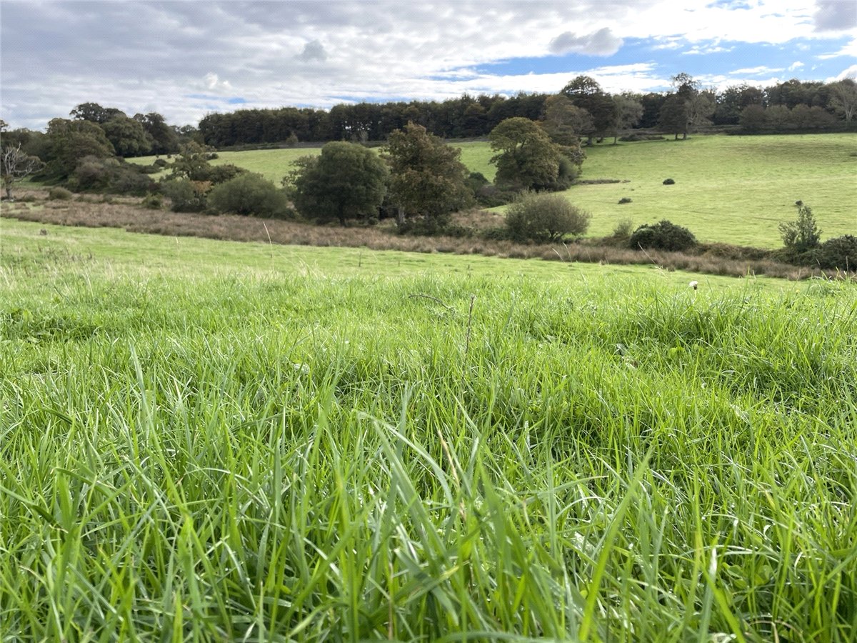 180  Land, Llandwrog, Caernarfon, LL54 - Available, Image 5