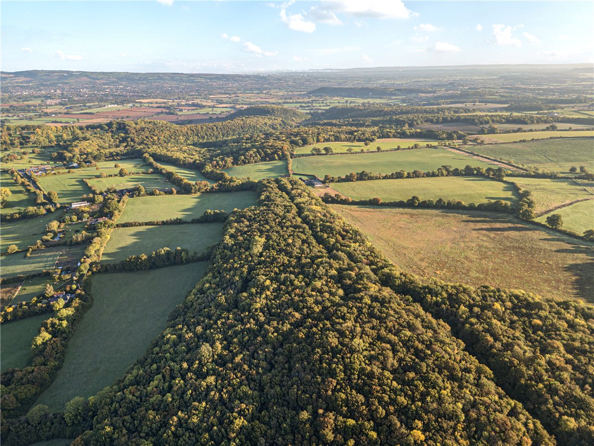 25.49  Land, Blake's Copse and Whitford Copse, Corfe, TA3 - Sold, Image 5