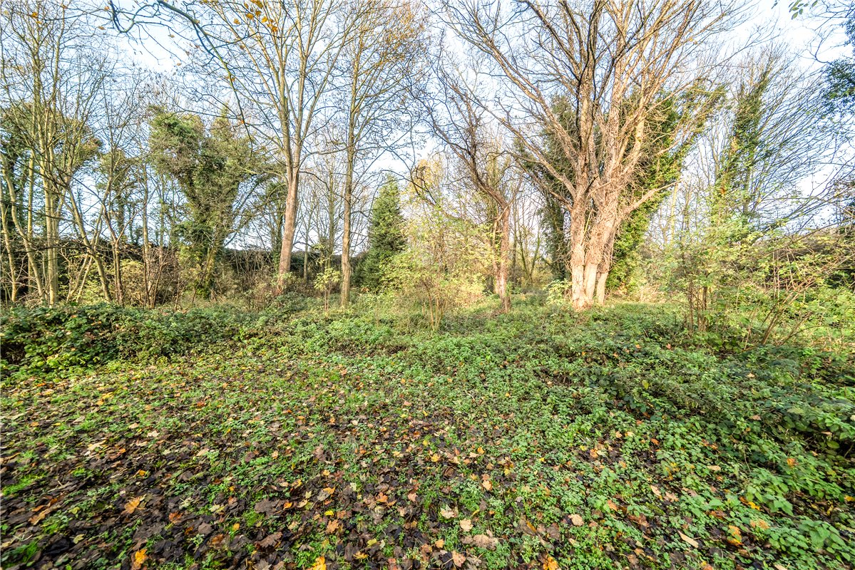 3 bedroom Cottage, Bannister Lane, Skelbrooke, DN6 - Available, Image 13