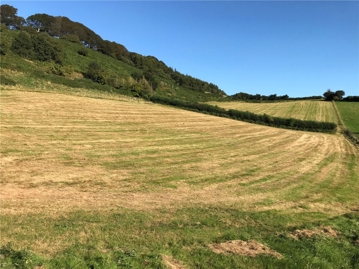 6.24  Land, Land At Quantock Moor, Bicknoller, TA4 - Sold