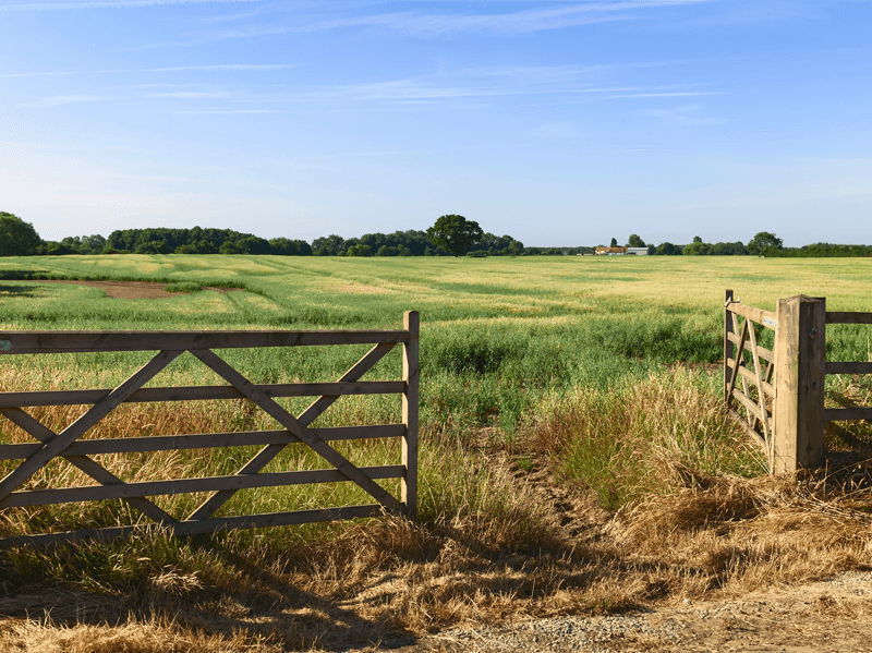 A field in the countryside with the gate wide open