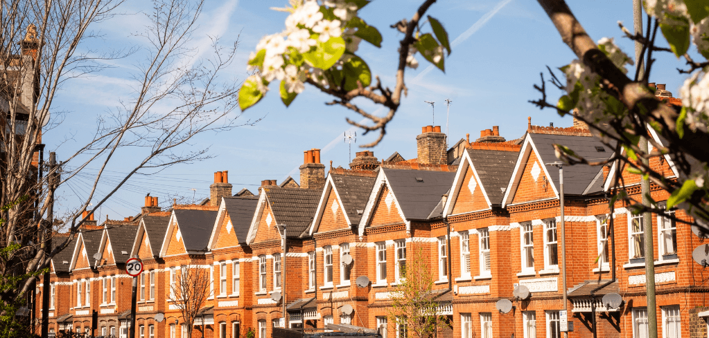 Row of traditional red brick terraced houses with dark roofs under a blue sky, framed by flowering tree branches.