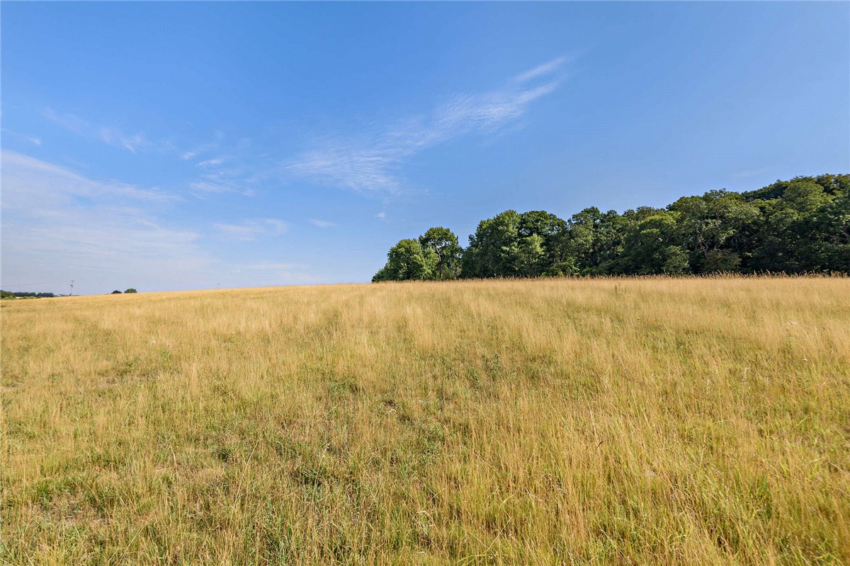   Land, Pebble Lane, Winterbourne, RG20 - Sold, Image 3