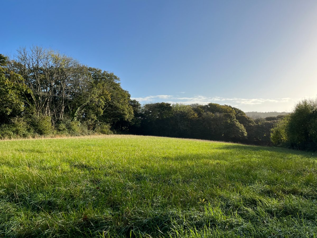 70.72  Land, Zelah, Truro, TR4 - Sold, Image 13