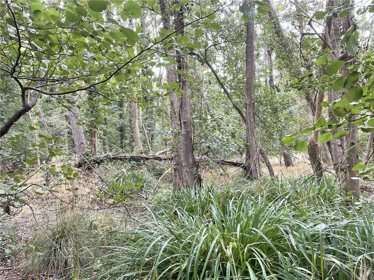 3.84  Land, Whittlesford, South Cambridgeshire, CB22 - Available, Image 3