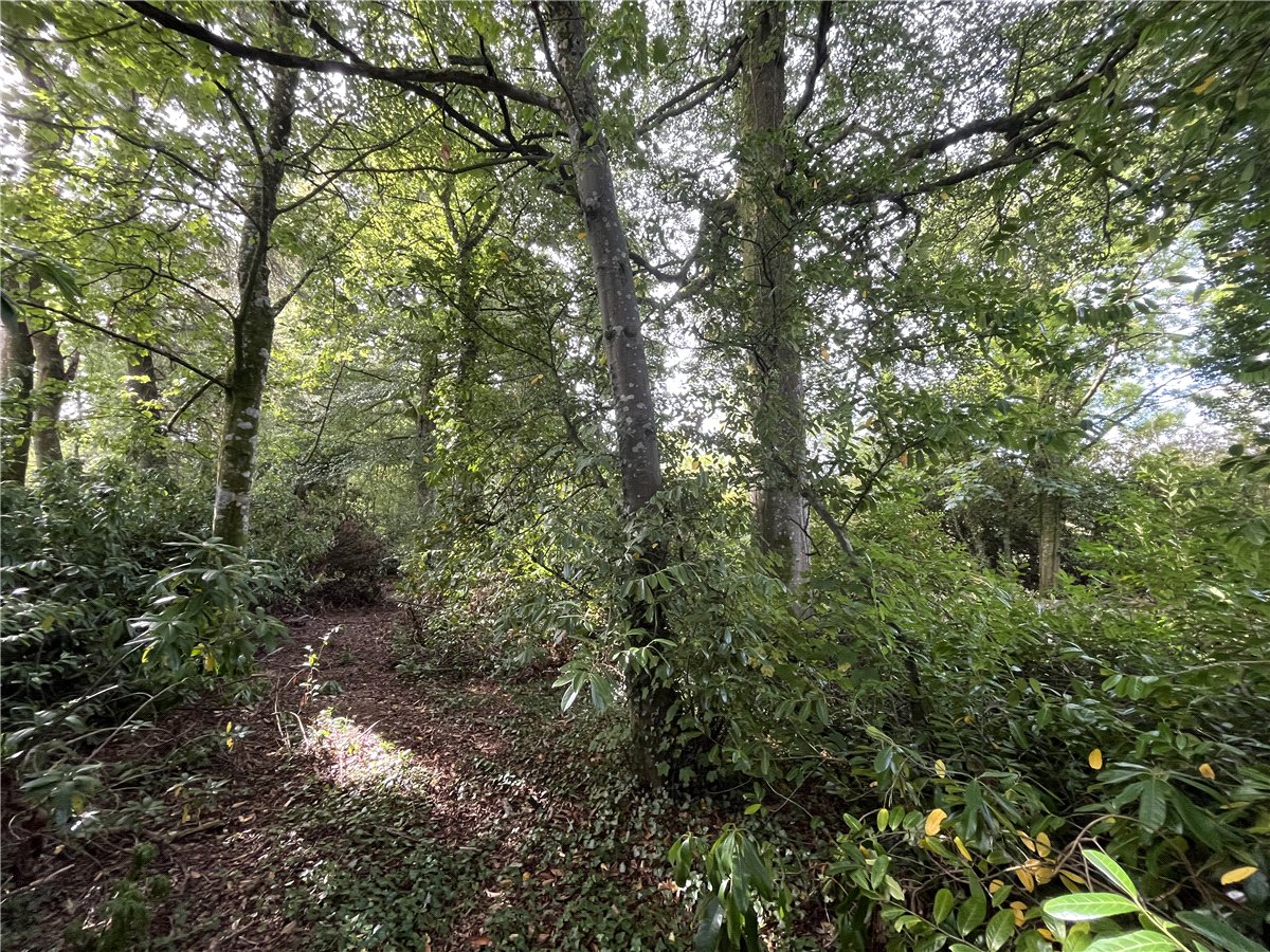 36.69  Land, Boduan, Pwllheli, LL53 - Available, Image 6