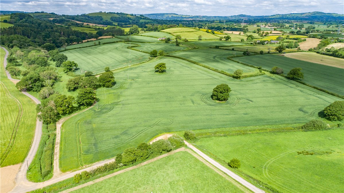 518  Farm, Dottery, Bridport, DT6 - Sold, Image 17