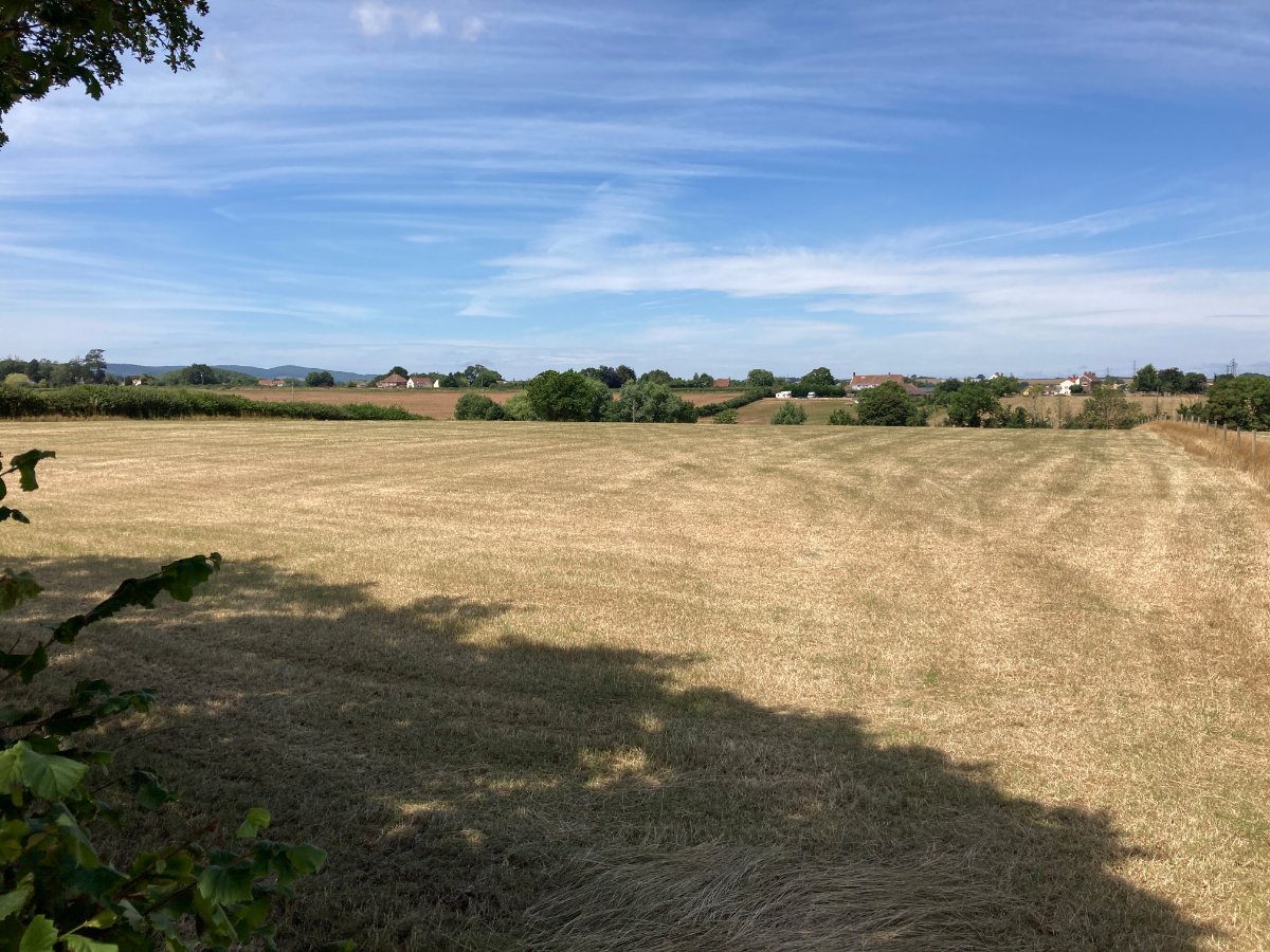 2.84  Land, Lot 1: Land At Goathurst, Goathurst, TA5 - Sold