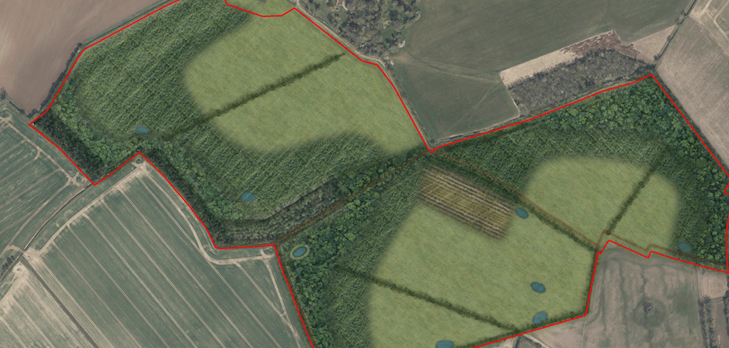 Aerial view of agricultural land with forest patches and fields outlined in red, showing varied terrain and small water bodies.
