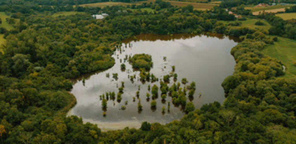 This image captures an aerial view of a large natural wetland surrounded by dense green woodland and open countryside. The calm water is dotted with clusters of vegetation, highlighting biodiversity and the ecological richness of the landscape. The expansive greenery and undisturbed habitat convey conservation, environmental restoration, and sustainable land management.