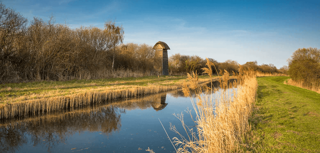 Wooden tower structure beside a calm canal with golden reeds and grasses under clear blue sky in countryside setting.