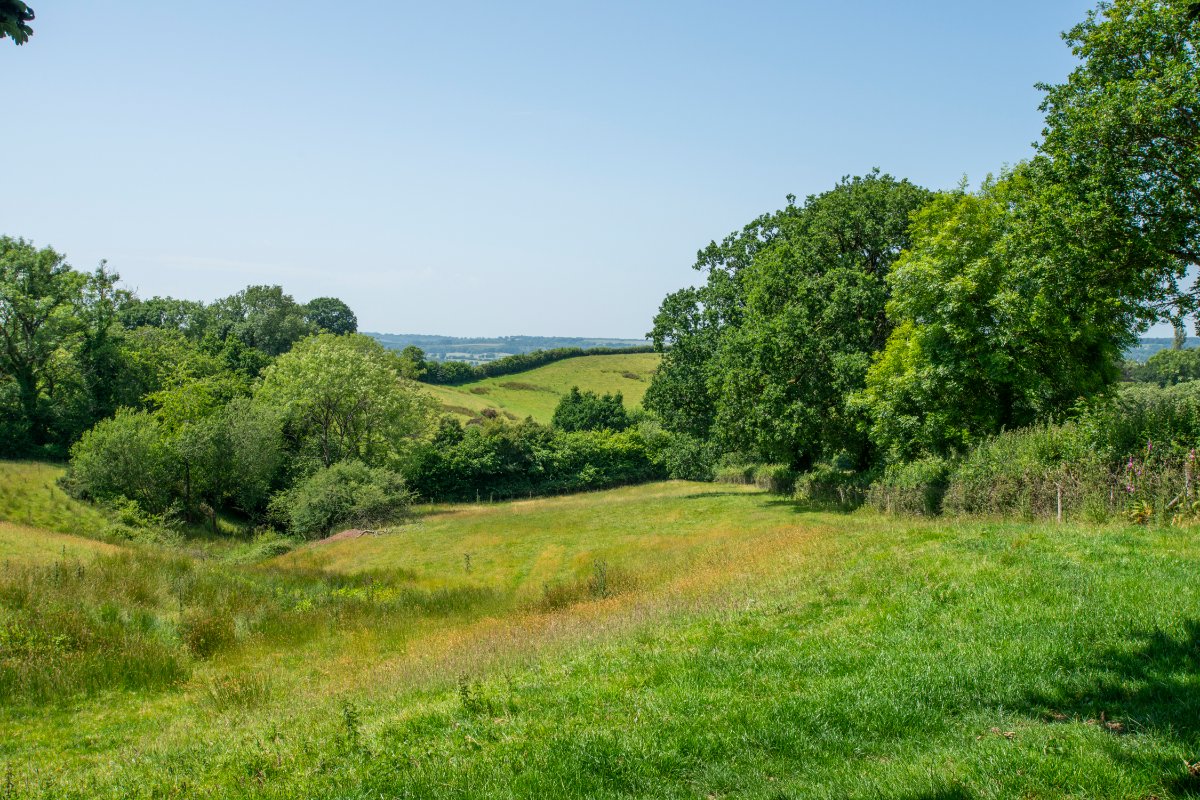 36.91  Farm, East Hill, Ottery St. Mary, EX11 - Sold, Image 8