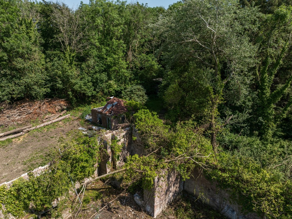   Land, Walled Garden & Woodland, Chyverton, TR4 - Sold STC, Image 10