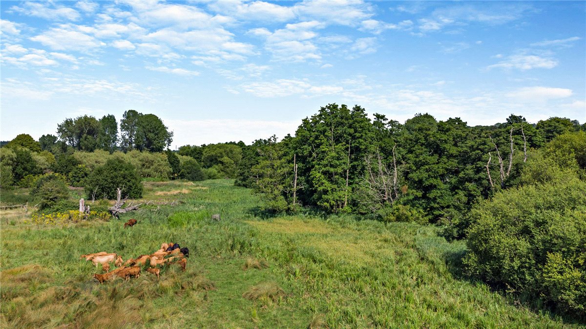 35.35  Land, Bradfield, Reading, RG7 - Sold, Image 3