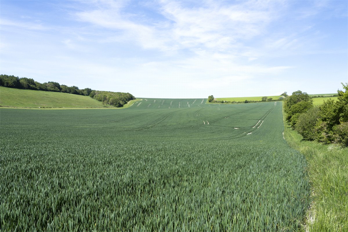 482.71  Farm, Collingbourne Kingston, Marlborough, SN8 - Sold, Image 22