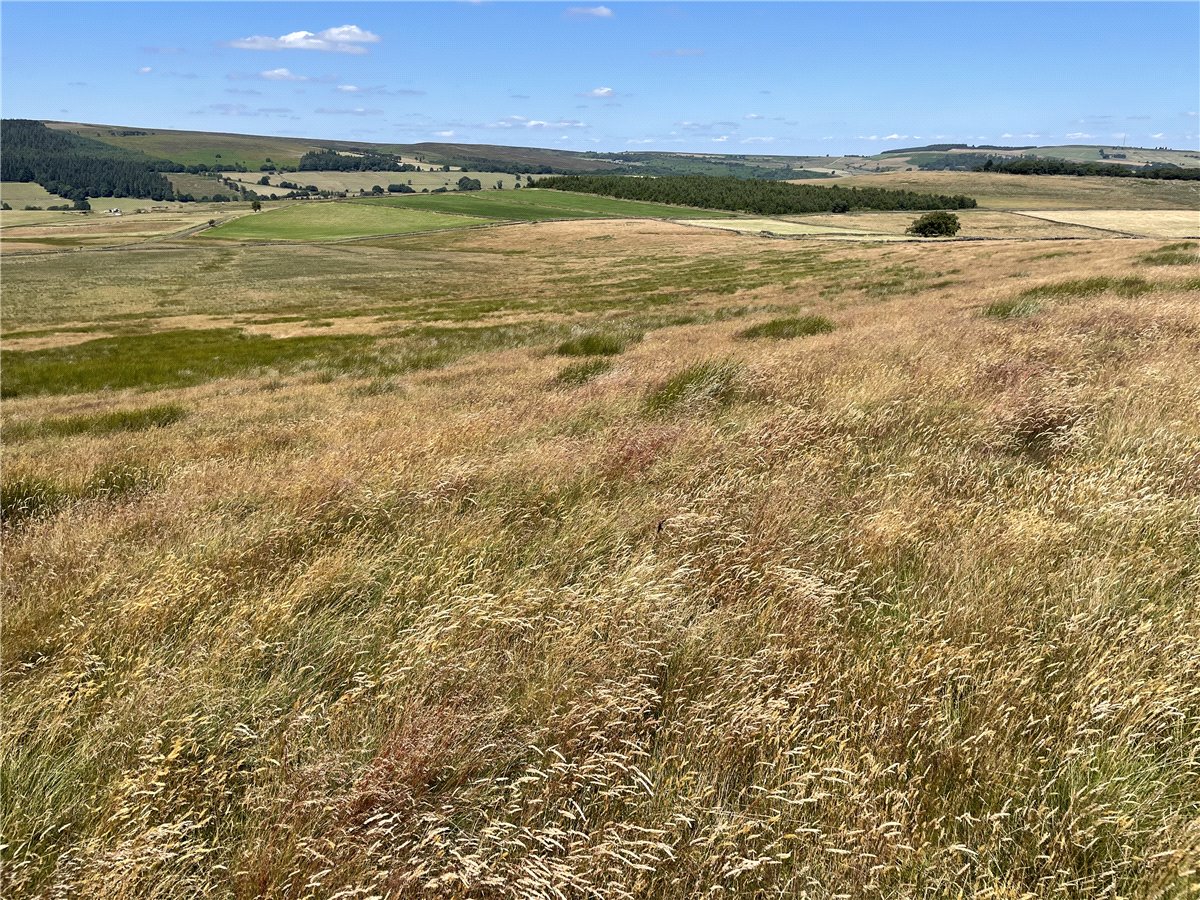 51.68  Land, Ughill, Bradfield, S6 - Sold, Image 3