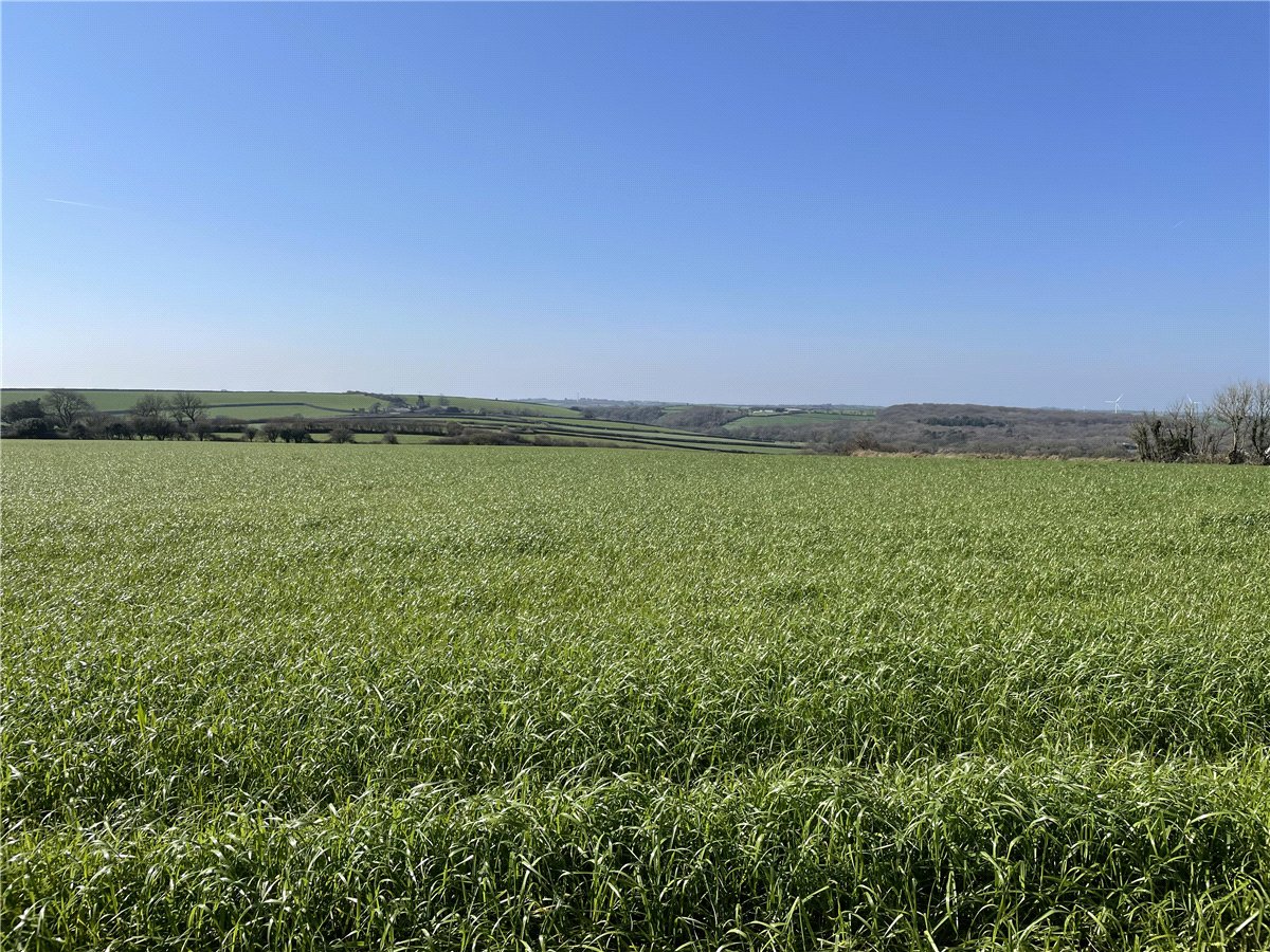 54.26  Land, London Apprentice, St. Austell, PL26 - Available, Image 4