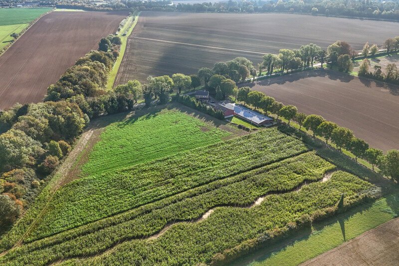   Land, London Hill, Babraham, CB22 - Available, Image 15