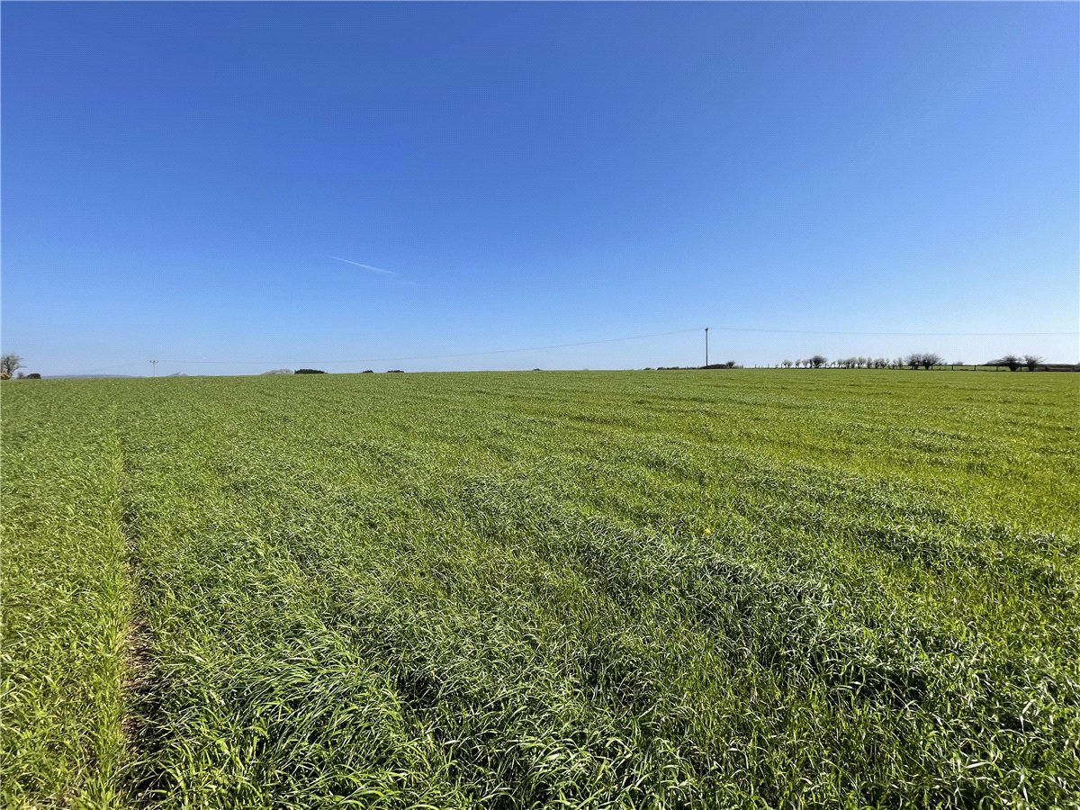54.26  Land, London Apprentice, St. Austell, PL26 - Available, Image 8