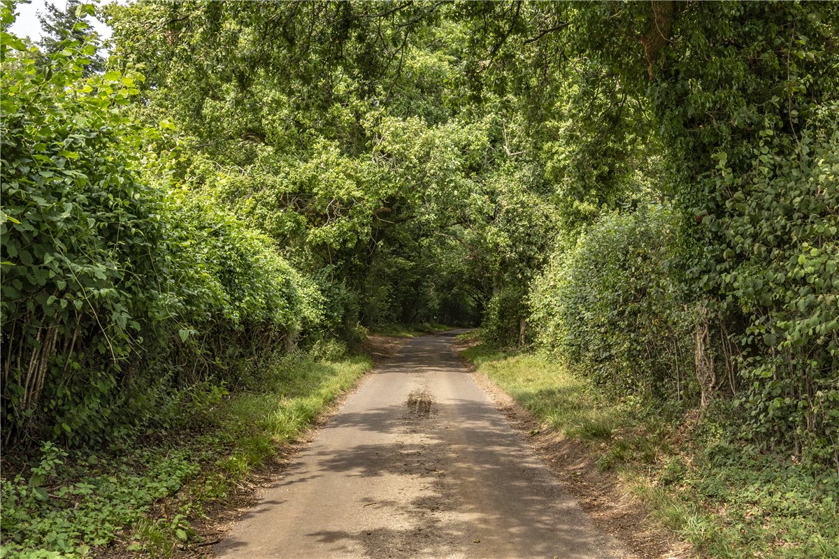 4 bedroom Barn Conversion, Hurstbourne Priors, Whitchurch, RG28 - Available, Image 5