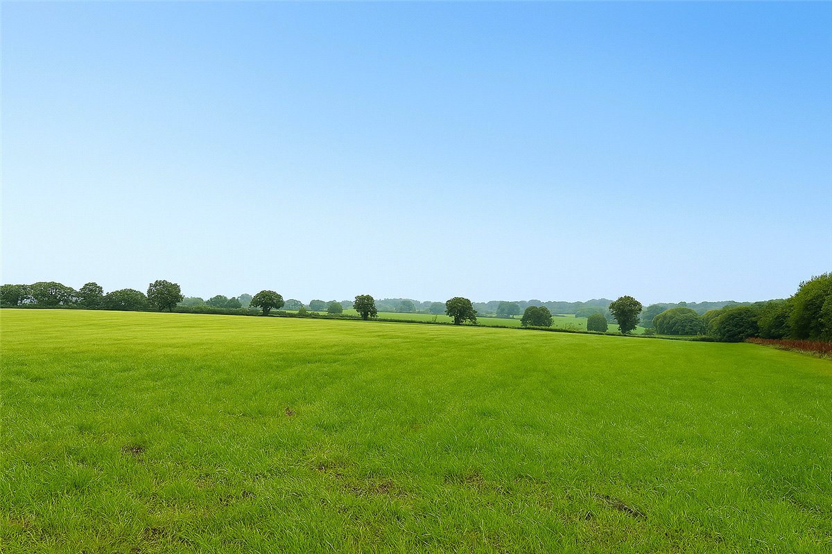 41.37  Land, Land At Ashridge, North Tawton, EX20 - Available, Image 1