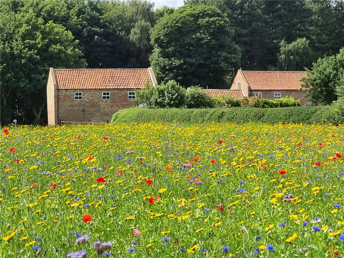 5 bedroom House, Selby Road, Holme-on-Spalding-Moor, YO43 - Sold, Image 38