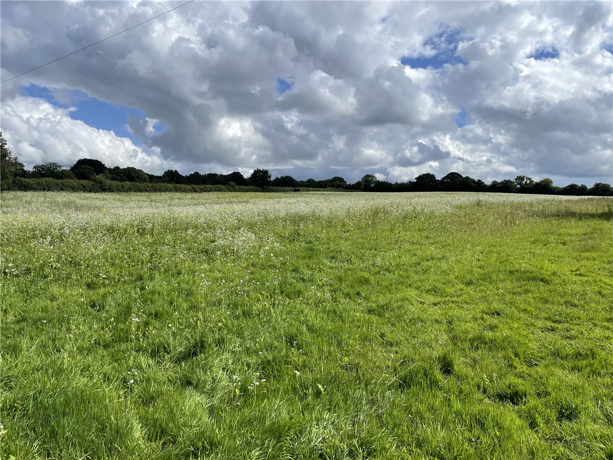 15.94  Land, Lot 2: Land At Libbear, Shebbear, EX21 - Sold