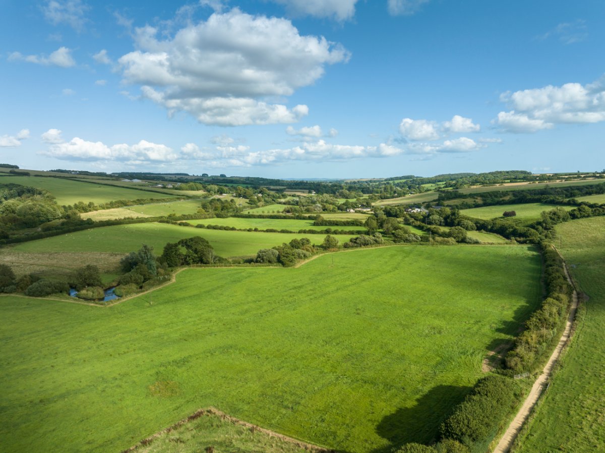 11.19  Land, Lot 6: Land At Cruxton Manor Farm, Cruxton, DT2 - Available