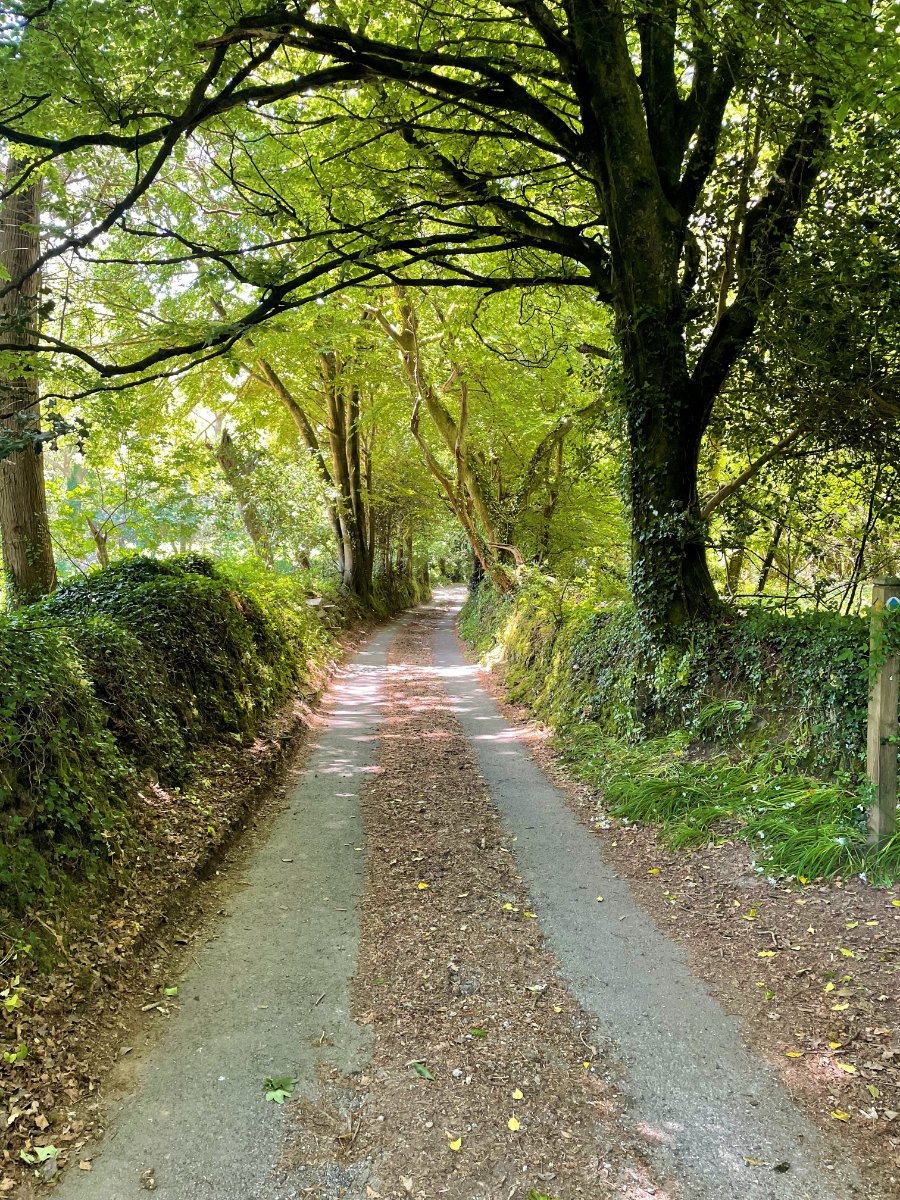 3 bedroom Cottage, Enys Hill, Penryn, TR10 - Sold, Image 28