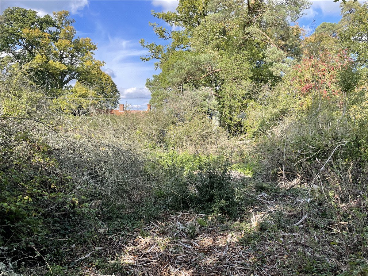   Land, Westridge, Highclere, RG20 - Sold, Image 1