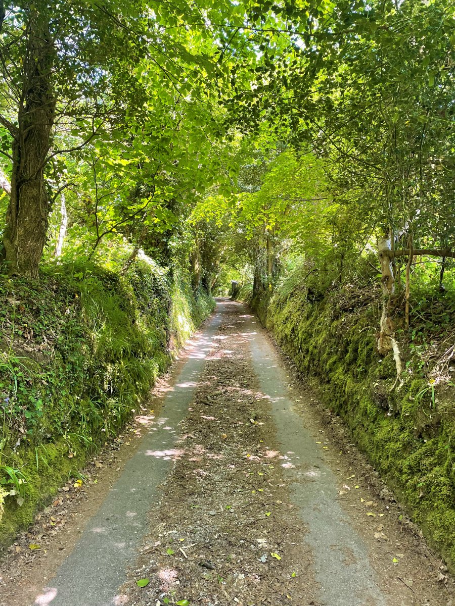 3 bedroom Cottage, Enys Hill, Penryn, TR10 - Sold, Image 22