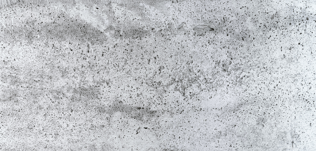 Reinforced autoclaved aerated concrete
