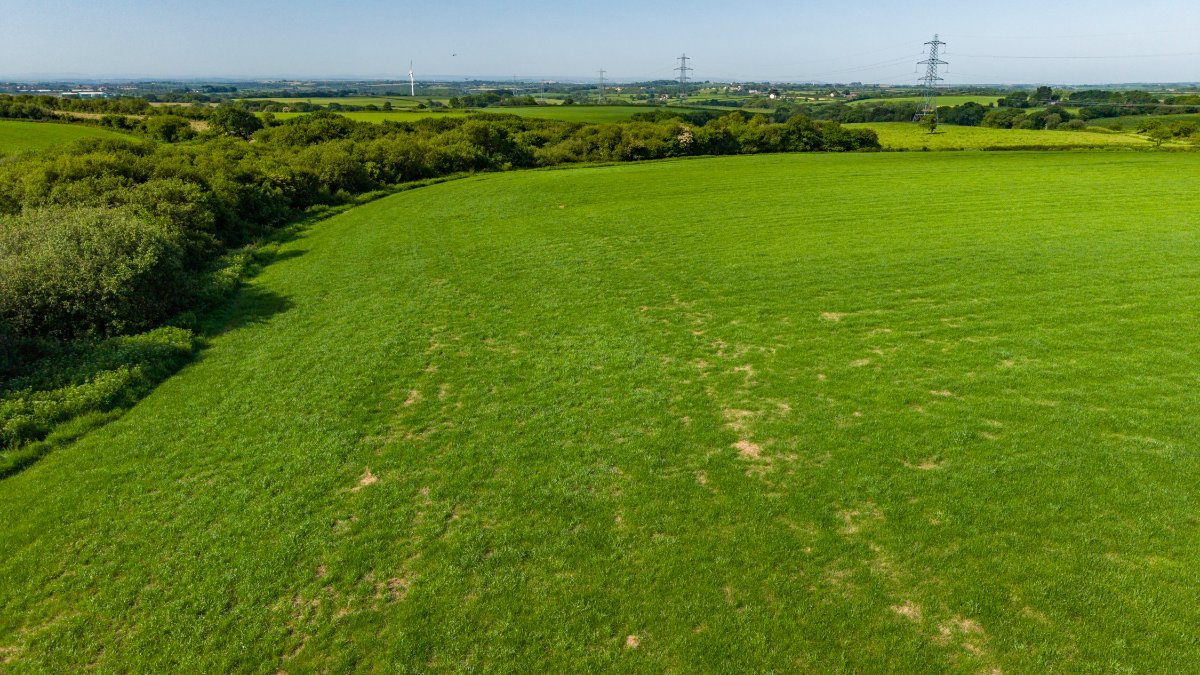 219.96  Farm, Holsworthy Beacon, Holsworthy, EX22 - Available, Image 8
