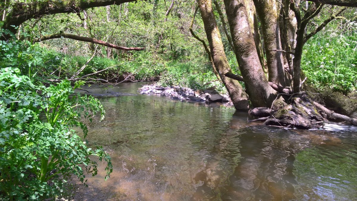 8 bedroom Residential, Buckland Brewer, Bideford, EX39 - Available, Image 13