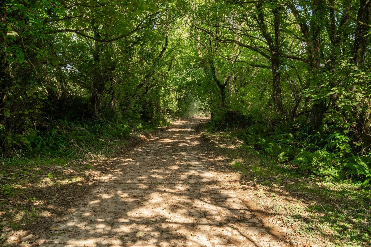 5 bedroom House, Ladock, Truro, TR2 - Available, Image 25