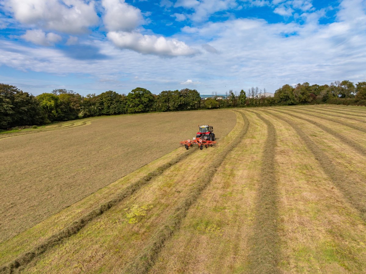 47.28  Country Estate, Hurdon Farm, Launceston, PL15 - Available, Image 5