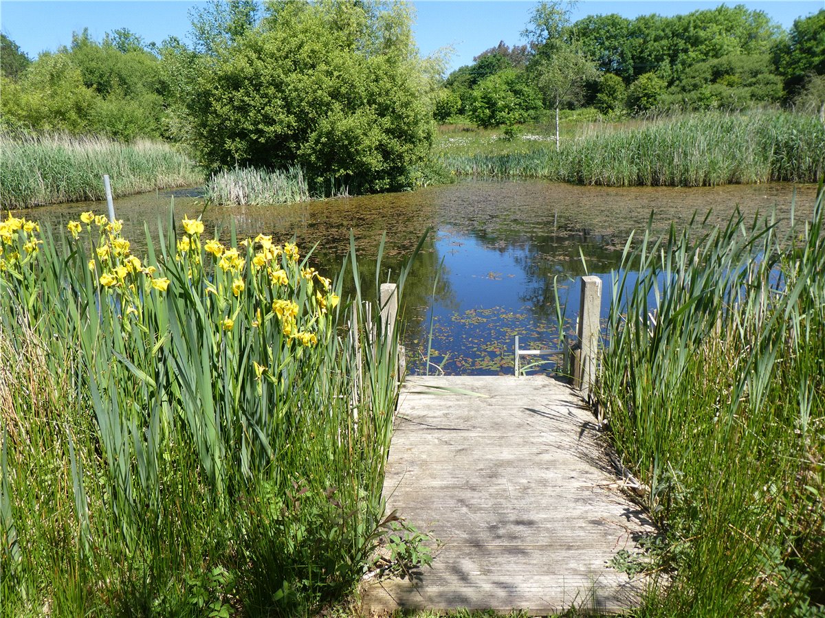 21.1  Farm, Winkleigh, Devon, EX19 - Available, Image 1