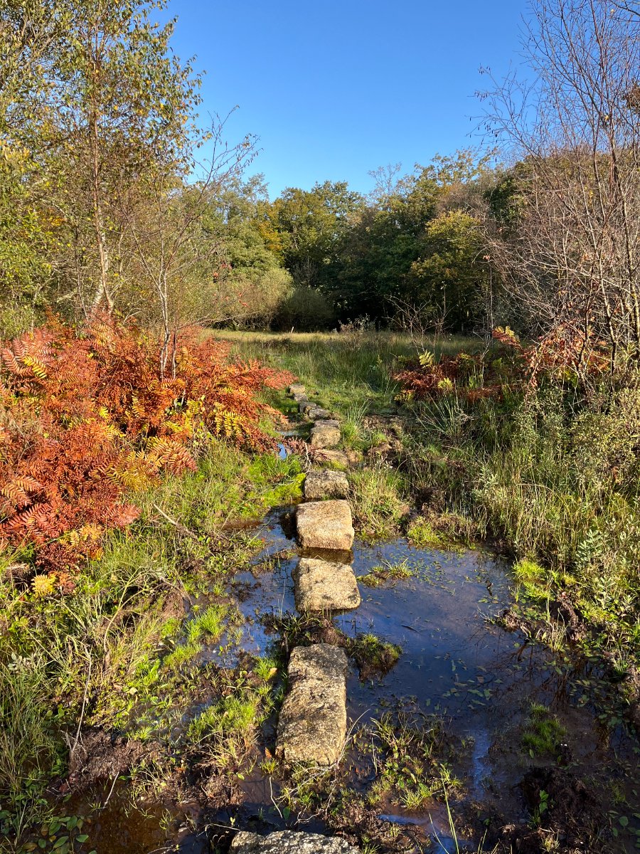 70.72  Land, Zelah, Truro, TR4 - Sold, Image 6