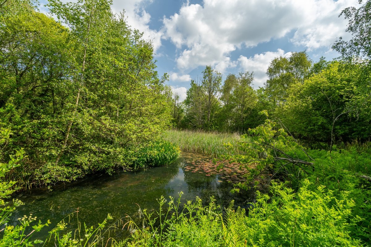 49.95  Farm, Tresamble, Gwennap, TR16 - Sold, Image 19