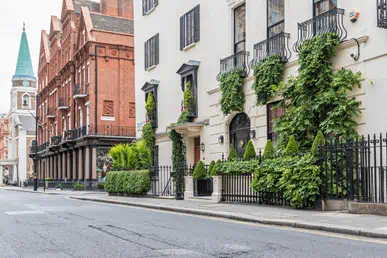 This image captures a stylish London street lined with historic architecture, featuring a beautifully maintained white building adorned with lush green climbing plants and neatly shaped hedges. The ornate balconies, period detailing, and contrasting red‑brick buildings create a sophisticated urban setting that reflects heritage, prestige, and high‑value property assets. 