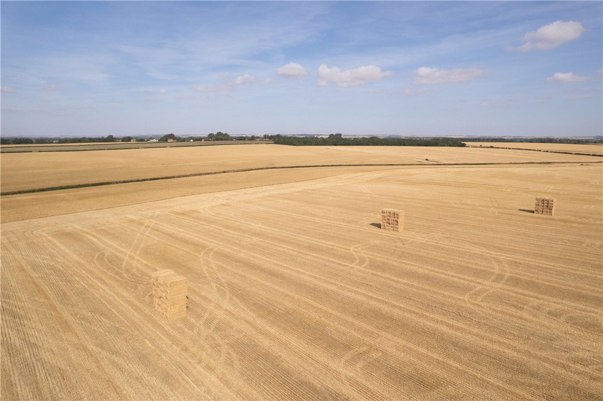   Land, Land At Beeford and Foston, Beeford, YO25 - Available, Image 4