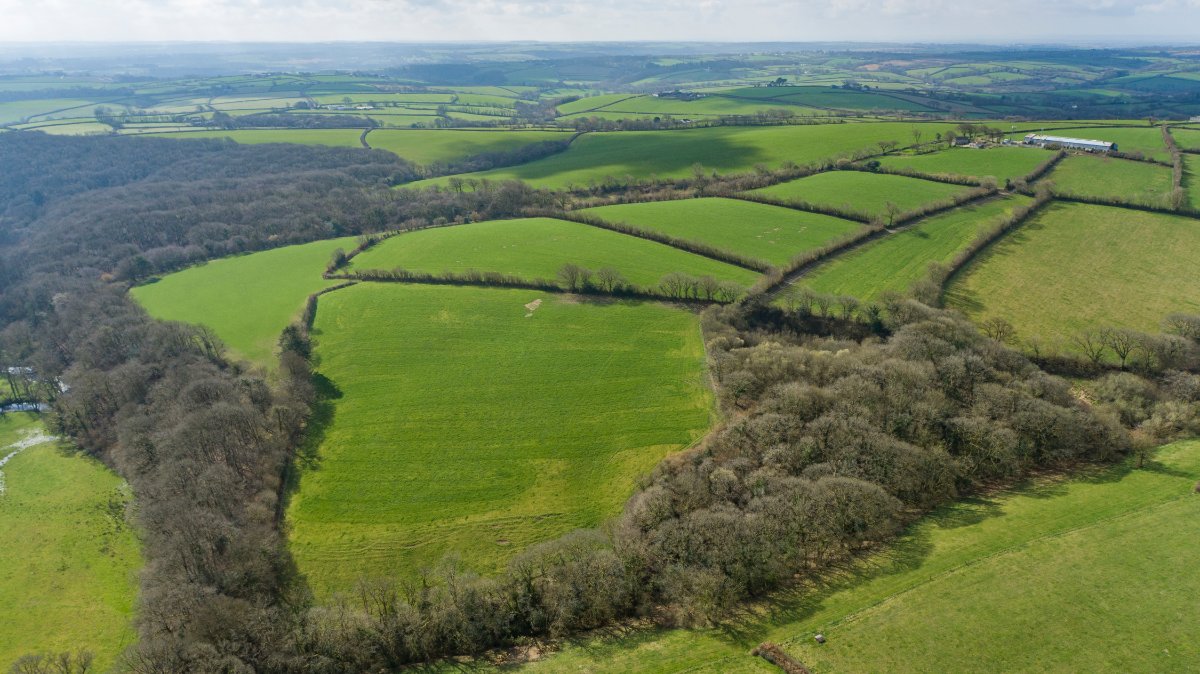 57.55  Development Land, Milton Damerel, Holsworthy, EX22 - Available, Image 16