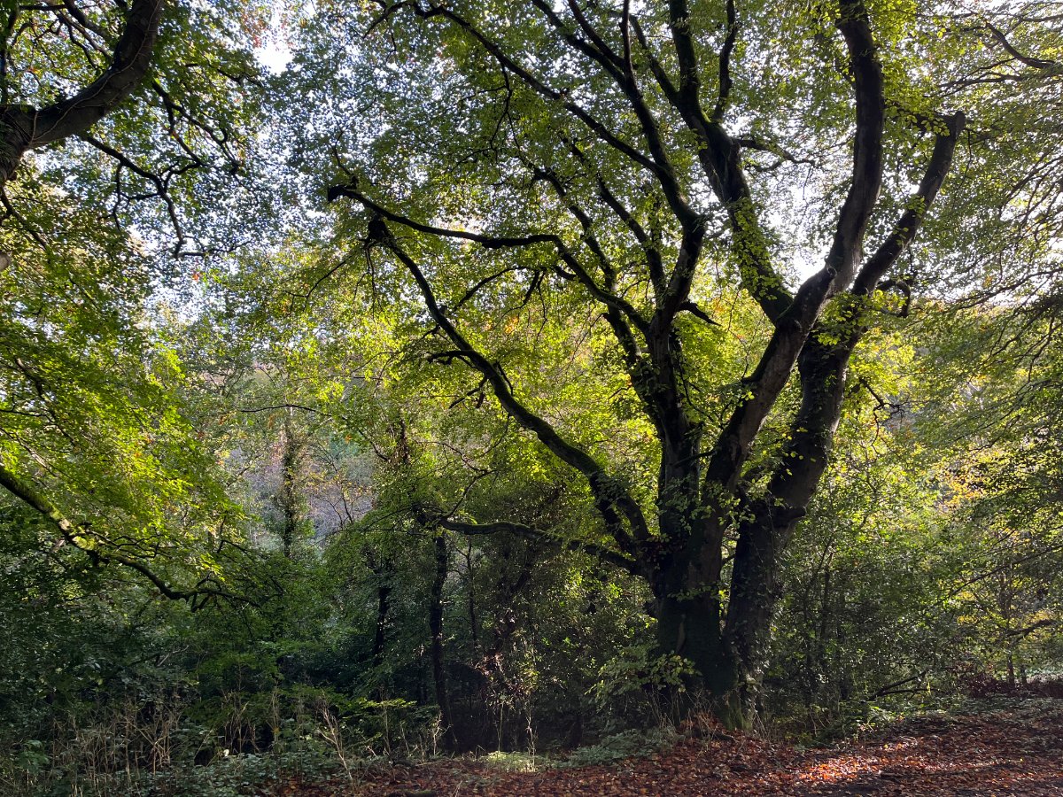 70.72  Land, Zelah, Truro, TR4 - Sold, Image 4