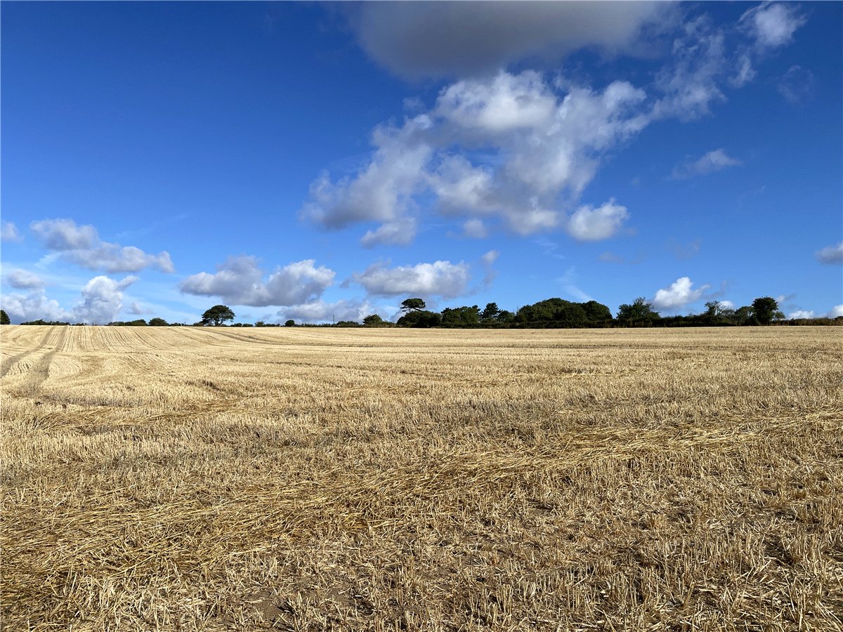 113.98  Land, Ruan High Lanes, Truro, TR2 - Available, Image 2