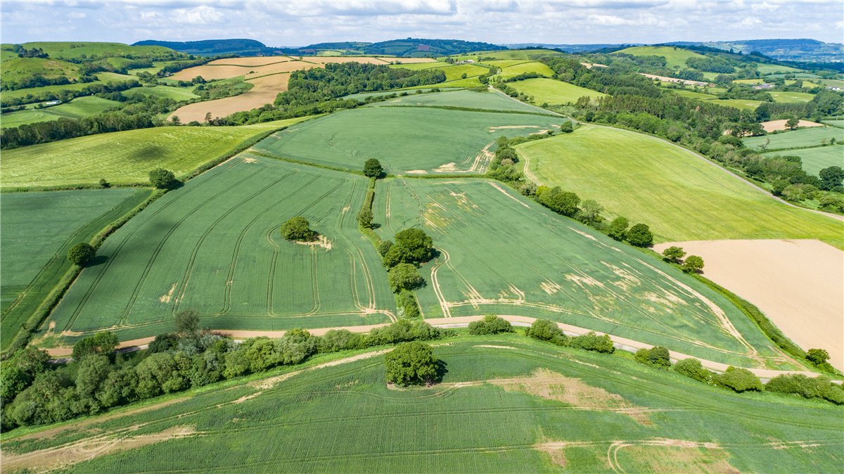 518  Farm, Dottery, Bridport, DT6 - Sold, Image 12
