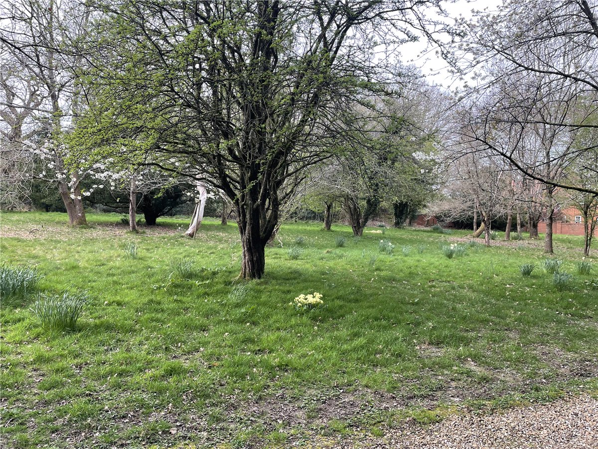 1  Development Land, Andover Road, Highclere, RG20 - Sold STC, Image 6